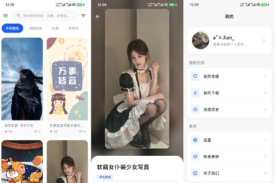 壁纸次元 v2.0.0：高清壁纸分类浏览与个性化推荐工具-山海之花 - 宝藏星球屋