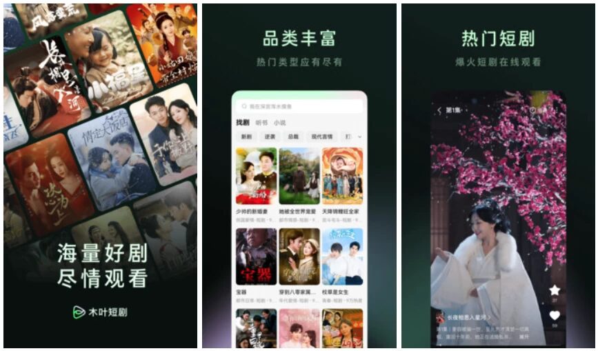 木叶免费短剧：聚合海量短剧资源，满足多样追剧需求 截图