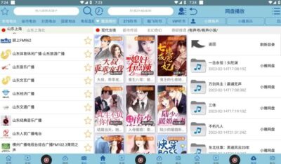 昊昊听书 v4.9.0：聚合海量有声小说，免广告纯净听书体验-山海之花 - 宝藏星球屋