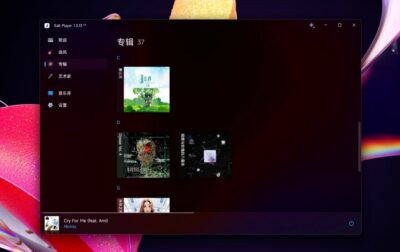 SaltLyricPlugin 桌面歌词插件:为椒盐音乐补全桌面端歌词体验-山海之花 - 宝藏星球屋
