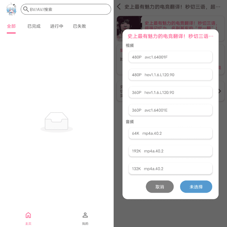 BVD 视频下载器：轻松获取B站视频与音频的便捷工具 截图
