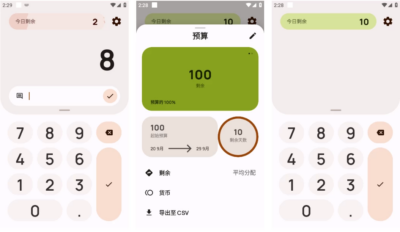 Buckwheat 记账工具：个人财务的全方位管理与规划助手-山海之花 - 宝藏星球屋