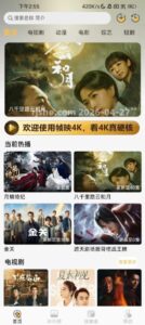 帧映4K播放器：便捷观影与清爽体验的影视工具-山海之花 - 宝藏星球屋