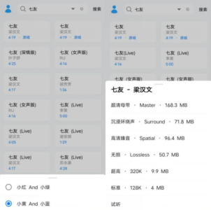 苏澜音乐 v8.5：聚合海量曲库，一站搜索与播放的纯净听歌工具-山海之花 - 宝藏星球屋