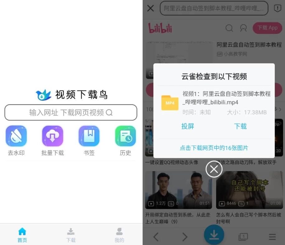 视频下载鸟 v18.62 高级版：网页视频嗅探与多格式资源下载工具 截图