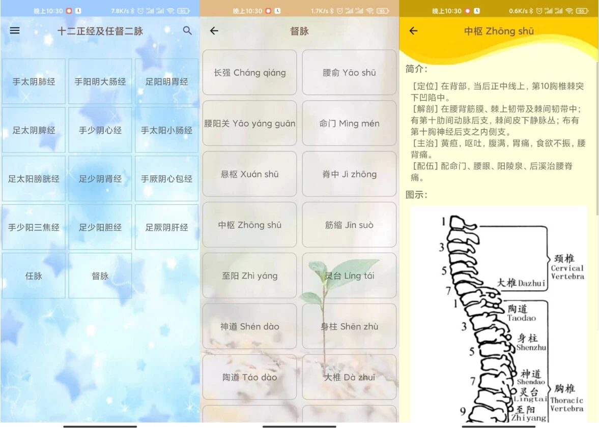 人体穴位图解 v3.2.0:离线查看经络穴位与按摩保健指南-山海之花 - 宝藏星球屋