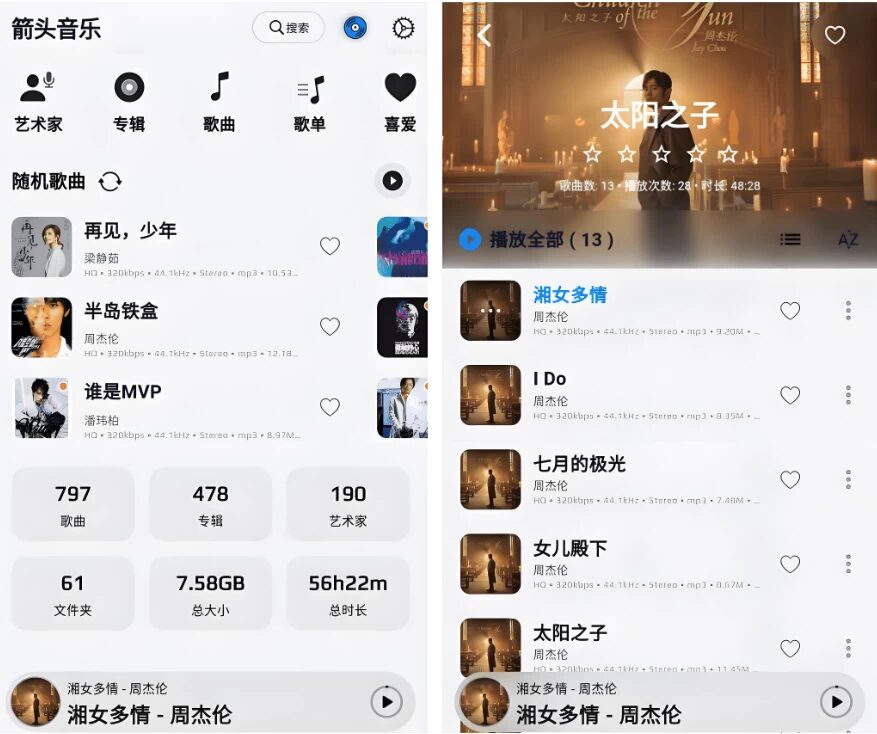 Amcfy Music 箭头音乐:轻量播放工具,自由连接你的私有音乐库-山海之花 - 宝藏星球屋