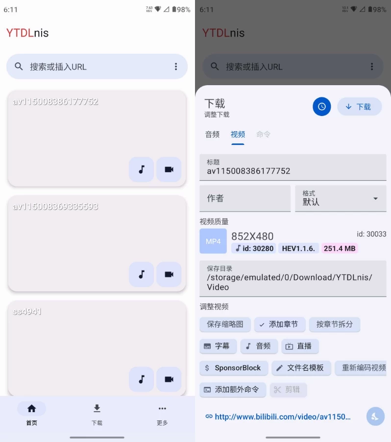 YTDLnis 视频下载工具：多平台视频解析与批量保存工具 截图