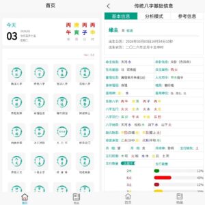 综合排盘 v5.0：集成多派八字命理与择吉起名的专业排盘工具-山海之花 - 宝藏星球屋
