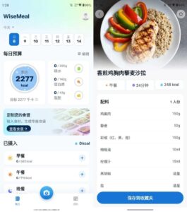 WiseMeal AI健康管理：智能记录饮食与定制营养方案-山海之花 - 宝藏星球屋