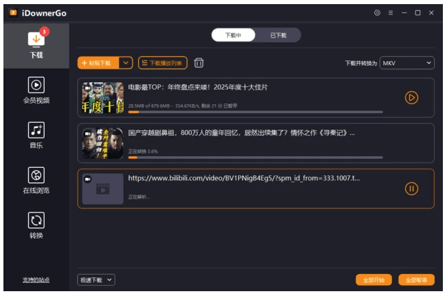 iDownerGo 流媒体视频下载:多平台内容离线保存工具-山海之花 - 宝藏星球屋
