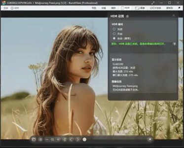 BandiView 图像查看器：一站式看图与格式转换工具-山海之花 - 宝藏星球屋