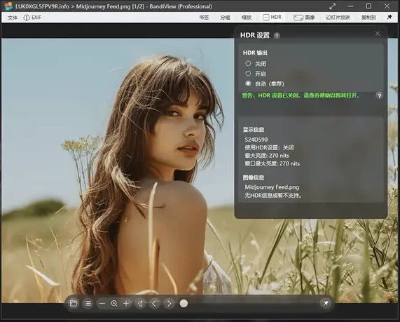 BandiView 图像查看器：一站式看图与格式转换工具-山海之花 - 宝藏星球屋