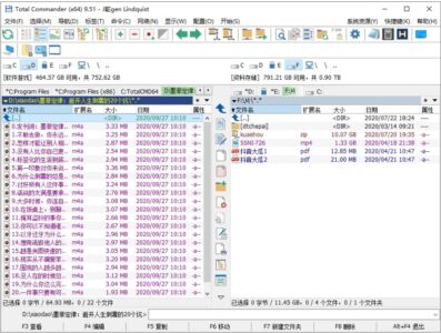 Total Commander 全能文件管理器：提升文件操作效率的双栏管理工具-山海之花 - 宝藏星球屋