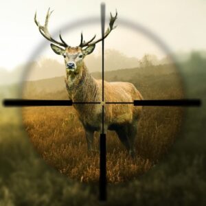 《Hunting Simulator》v1.7.7 手机完整版！一款无剧情纯弹道计算的射击练习工具，适合追求距离与精度数据验证的用户-山海之花 - 宝藏星球屋