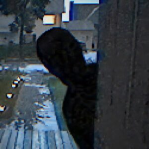 《Fears to Fathom – Home Alone》v1.0.0 手机完整版！以日常家居场景构建恐怖感，声音与视线机制驱动躲藏玩法，适合短时沉浸的章节式叙事