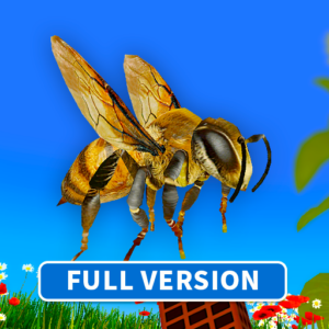 《昆虫和蜘蛛儿童教育AR游戏（完整版）》v1.0.0 手机完整版！通过AR摄像头把昆虫3D模型叠加到真实环境，配合分级知识讲解和问答，实现可重复操作的主动式自然观察学习-山海之花 - 宝藏星球屋