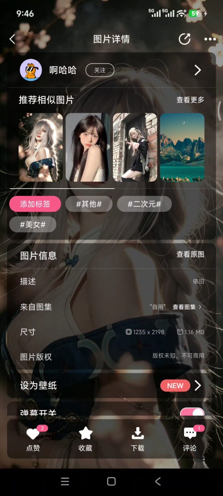 元气壁纸 v2.1.1 手机桌面壁纸软件APP，支持视频动态壁纸、高清4K 截图