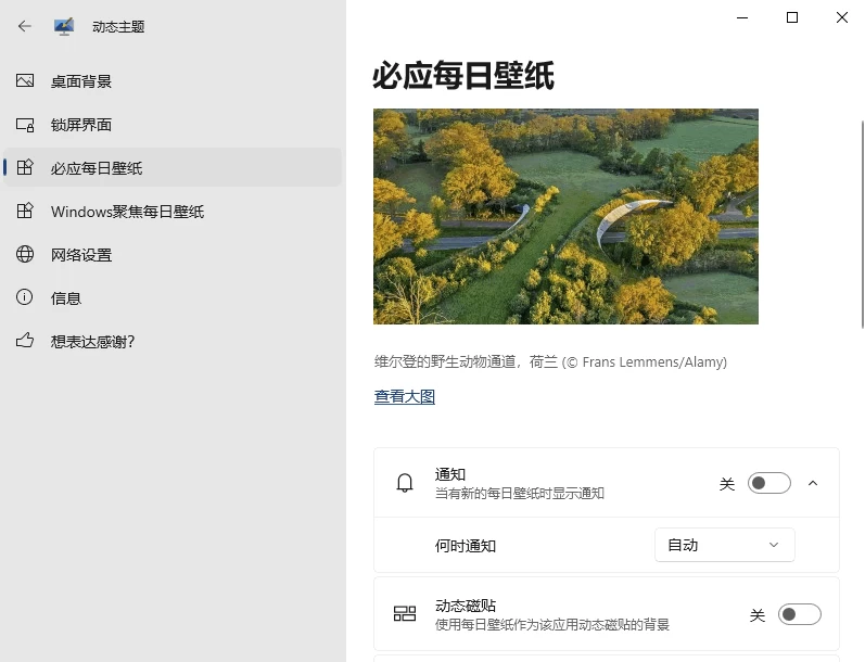 Dynamic Theme 自动更换壁纸：为桌面持续带来新鲜视觉体验 截图
