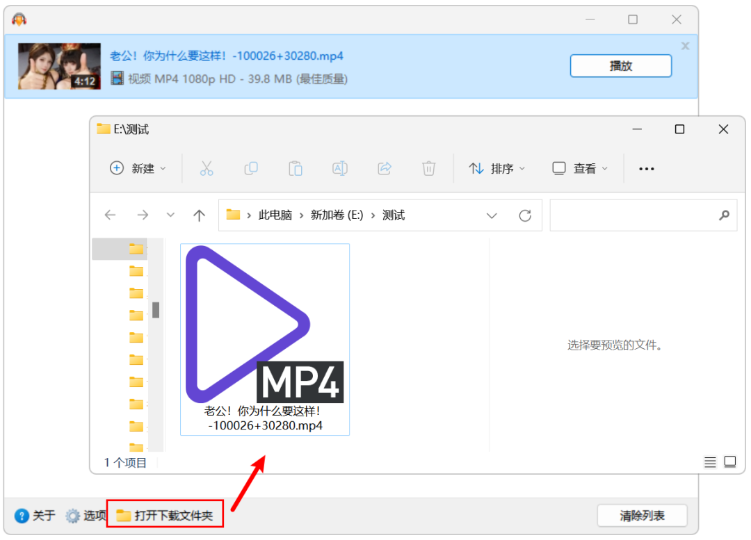 视频下载软件DLNow Video Downloader v1.56.2026.08 .04，全平台视频在线解析下载，无需注册登录账号 截图