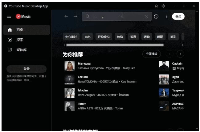 YouTube Music Desktop桌面播放器：沉浸式聆听YouTube音 截图