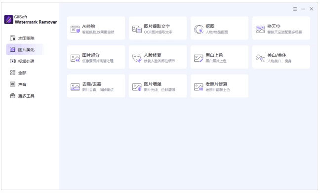 Gilisoft Watermark Remover 专业水印移除软件：快速清除 截图