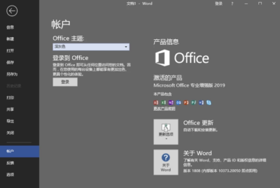 微软Office 2019 专业增强版：长期支持的企业级办公套件-山海之花 - 宝藏星球屋