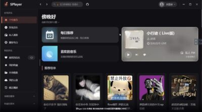 SPlayer 播放器：免费开源网易云音乐客户端，支持逐字歌词与无版权歌曲播放-山海之花 - 宝藏星球屋