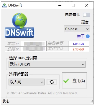 DNSwift DNS切换工具：快速更换DNS服务器改善网络访问体验 截图