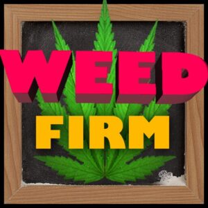 《Weed Firm: RePlanted》v1.7.55 手机MOD版！种植、加工、销售全链条手动管理，无抽卡无社交，唯一成长路径是时间与金币的循环投入-山海之花 - 宝藏星球屋