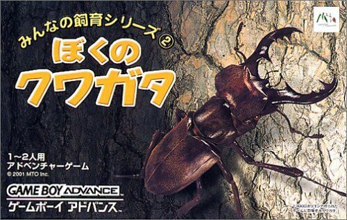 《大家一起养系列2：我的锹形虫》昆虫收集养成与对战培育玩法-山海之花 - 宝藏星球屋