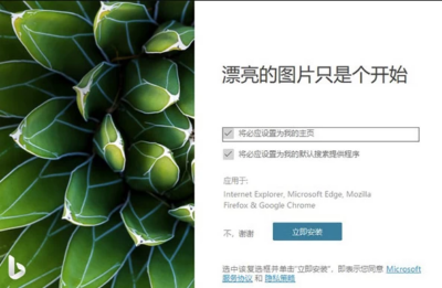 Bing Wallpaper 微软壁纸:每日自动更新桌面背景的轻量工具-山海之花 - 宝藏星球屋