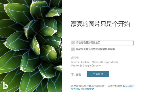 Bing Wallpaper 微软壁纸：每日自动更新桌面背景的轻量工具-山海之花 - 宝藏星球屋