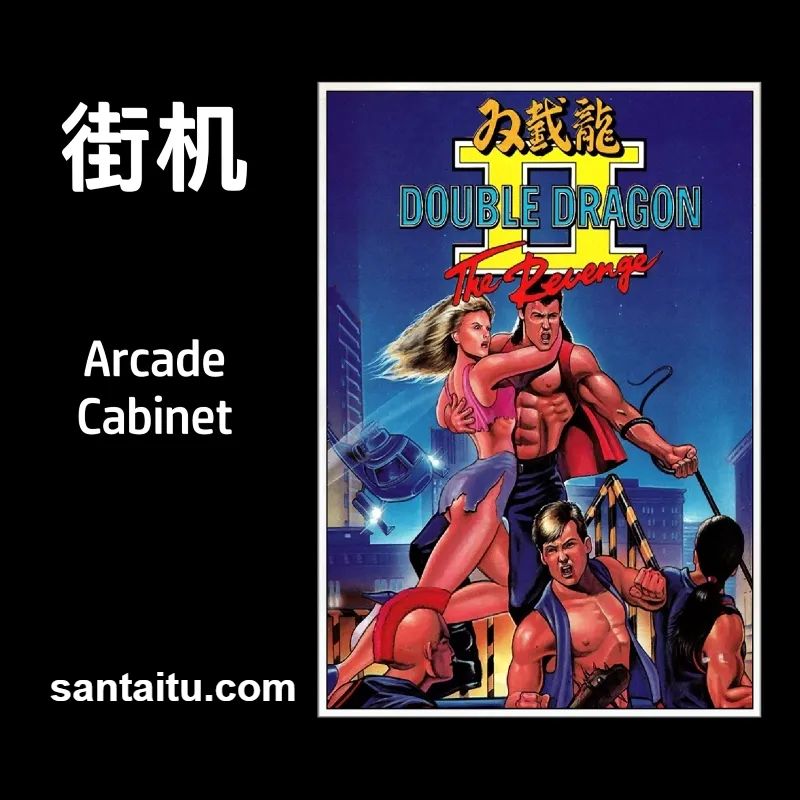 《双截龙2：复仇》一款2D像素画风的横版清版动作游戏，操控双截龙兄弟在夜幕都市中-山海之花 - 宝藏星球屋