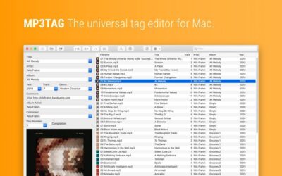 Mp3tag 1.13.4 音频标签批量编辑器，整理曲目信息与封面管理 Mac 音乐库-山海之花 - 宝藏星球屋