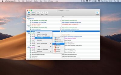 URL Manager Pro 6.5.1 书签集中管理工具，分类存储与快速检索 Mac 网页链接-山海之花 - 宝藏星球屋