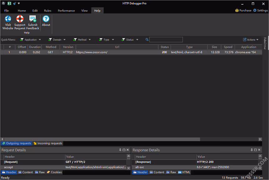 HTTP Debugger Pro 10.8 绿色版：面向开发者的 HTTP/H 截图