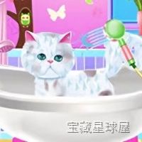 《宠物美容师》一款卡通休闲向的宠物护理模拟游戏，玩家扮演美容师为各类动物提供洗护、修剪与造型服务。核心玩法是逐步解锁沐浴、吹干、剪毛、染色等美容工序，搭配抚摸互动提升宠物好感度。带丰富的装饰配件与主题房间，上手轻松。-山海之花 - 宝藏星球屋