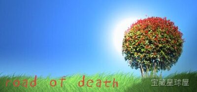 《死亡之路》一款末日废土题材的横版动作生存游戏，玩家驾驶战车在尸潮包围的公路上杀出血路。核心玩法是边开车边战斗，兼顾武器射击与车辆维修，在燃油耗尽前抵达安全区。-山海之花 - 宝藏星球屋