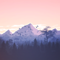 MusicFree 1.0