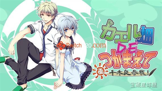 《蛙畑奇事》一款日文原版田园风动作捉虫游戏，在青蛙栖息的夏日水田展开一场趣味捕捉冒险。核心玩法是手持捕虫网在稻田间探索，通过观察水面波纹与叫声定位目标，利用蹲伏潜行接近后快速挥网，成功捕获可解锁图鉴收集要素，带昼夜交替与天气变化的生态模拟系-山海之花 - 宝藏星球屋