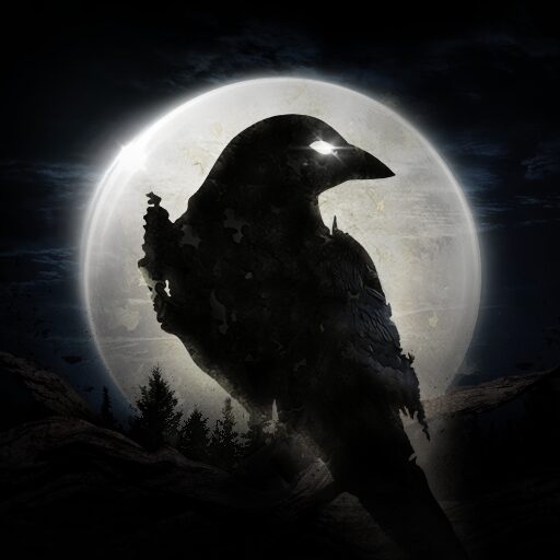 《夜鸦》v1.0.28 手机完整版！一款强调千人同屏攻城战的中世纪MMORPG手游，提供完整阵营对抗与装备强化系统-山海之花 - 宝藏星球屋