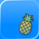 AssppPro 4.2.2