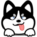 聚光社 2.6.0