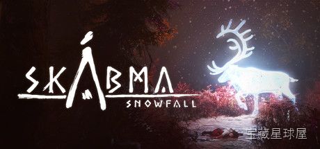 《永夜雪落》一款以芬兰萨米人传说为背景的叙事冒险游戏，在永夜与极寒的荒野中揭开古老疾病的秘密。核心玩法是探索冻原与洞穴、收集草药并制作疗愈药剂，通过萨满之鼓的力量与自然灵沟通。带冰面攀爬与潜伏躲避的生存环节，故事情节厚重。-山海之花 - 宝藏星球屋