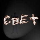 The Light: Remaster Edition 截图