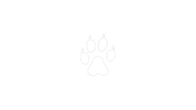 Cheetah3D 8.1.3 Mac三维建模渲染软件，轻量易上手的多边形与动画制作工具-山海之花 - 宝藏星球屋