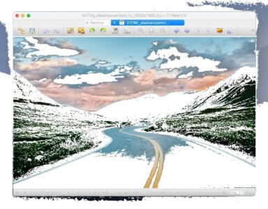 XnViewMP 1.9.2 图像浏览与管理工具，600 余种格式支持与批量处理一手掌握-山海之花 - 宝藏星球屋