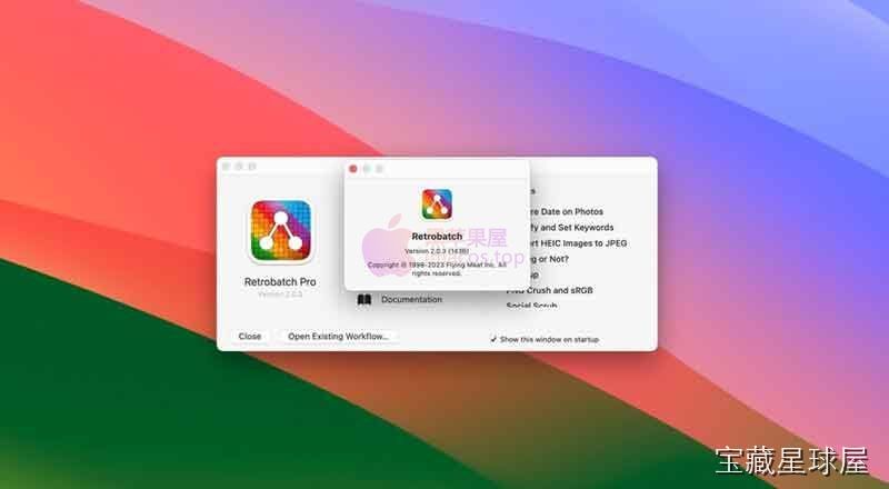 Retrobatch Pro 软件截图