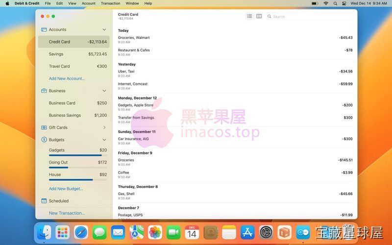 Debit & Credit Premium 软件截图